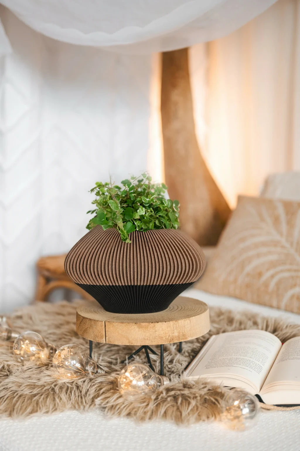 ET CONO Set - Black & Oak